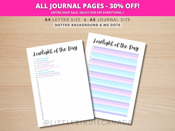 Lowlight of the Day - PRINTABLE Journal Page - Planner Page - Wellness Journal - Mental Health Tracker - Mood Tracker - Gratitude Journal