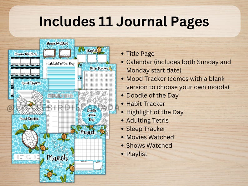 Op de afbeelding: Een set van 11 printbare journalpagina's met een strandthema. De pagina's bevatten een titelpagina, een kalender, een stemmingstracker, een krabbel van de dag, een gewoontetracker, een hoogtepunt van de dag, adulting Tetris, een slaaptracker, gekeken films, gekeken shows en een afspeellijst.