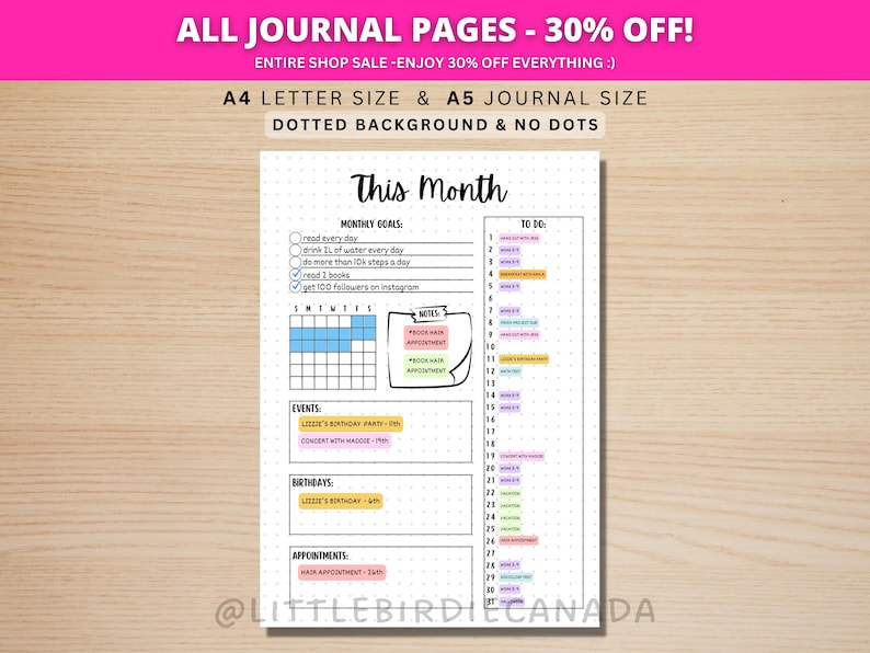 Monthly Planner - Monthly Calendar -PRINTABLE Journal Page - Planner Page - Month At A Glance - Monthly Journal Page - Monthly To Do List image 1