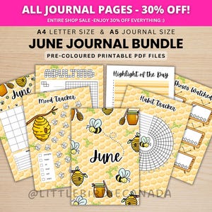 Juni-dagboekbundel - Bumble Bee - AFDRUKBARE dagboekpagina's - VOORGEKLEURDE pagina's - juniplanner - juni-agenda - afdrukbare planner