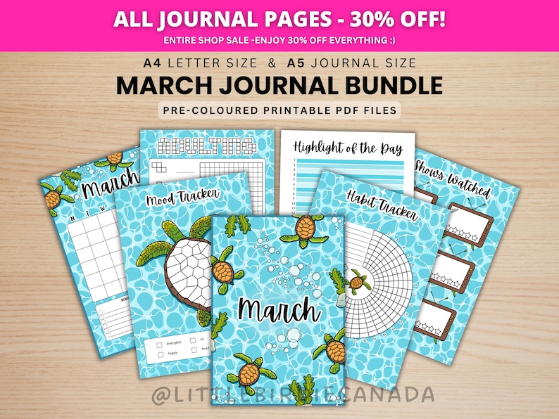 Maart-dagboekbundel - Turtles - AFDRUKBARE dagboekpagina's - VOORGEKLEURDE pagina's - maartplanner - maart-agenda - afdrukbare planner afbeelding 1