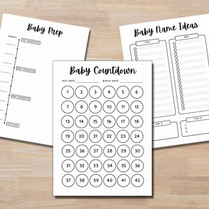 May include: Three printable pages for planning a baby shower. The first page is a checklist for baby prep, the second page is a countdown to the due date, and the third page is for brainstorming baby names.