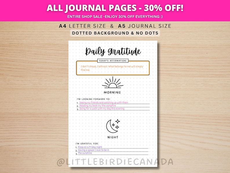Daily Gratitude Journal - PRINTABLE Gratitude Journal Page - Planner Page - Wellness Journal Page - Mental Health Journal - Daily Tracker image 1