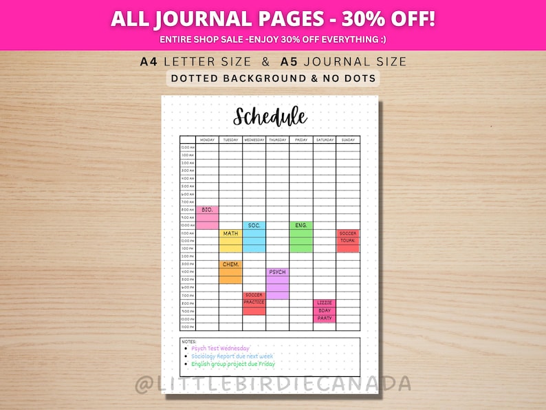 Weekly Schedule - Time Table - Weekly Planner - Weekly Calendar - PRINTABLE Journal Page - Time Block Planner - Semester - Class Schedule image 1
