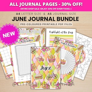 Juni Journal Bundle - Picknick - UTSKRIVBARA Journalsidor - FÖRFÄRGADE Sidor - Juni Planner - Juni Agenda - Utskrivbar Planner