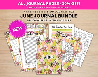 June Journal Bundle - Picnic - PRINTABLE Journal Pages - PRE-COLOURED Pages - June Planner - June Agenda - Printable Planner