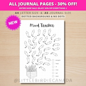 Firework Mood Tracker - PRINTABLE Journal Page - Firework Theme - Digital Planner Page - 4th of July - Canada Day