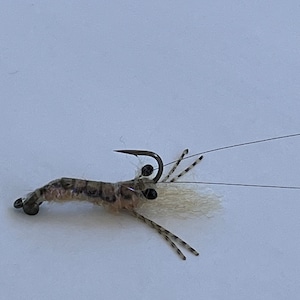 Shrimp Fly Salt water trout bass bonefish snook tarpon flounder pattern flies