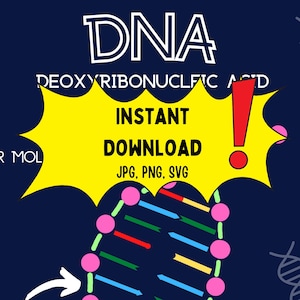 Printable DNA Structure Poster – Base Pairing A T G C & Sugar Phosphate Backbone | Biology Classroom Science Decor