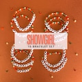 ERAS | SHOWGIRL Friendship Bracelets | Set of 10 Bracelets