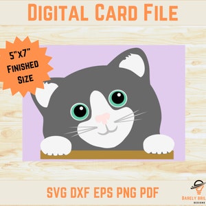 Arquivo digital de cartão de gato, cartão de aniversário infantil, cartão fofo de Halloween, 5 x 7 polegadas, svg dxf eps pdf png, cartão de gatinho, Cricut, silhueta, cartolina