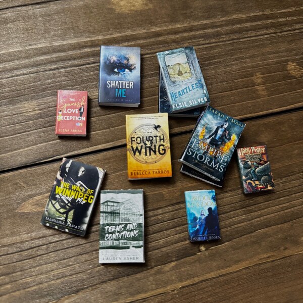 Mini livres personnalisés, lot de 5, livres en pot TBR, cadeau parfait pour les amateurs de livres, les lecteurs, fait main, fantaisie YA, nouvelle fantaisie pour adultes, personnaliser