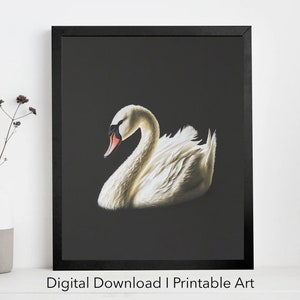 Swan Printable Wall Art | Swan Photo | Swan Art Print | Digital Download | Swan in the Dark Digital Print