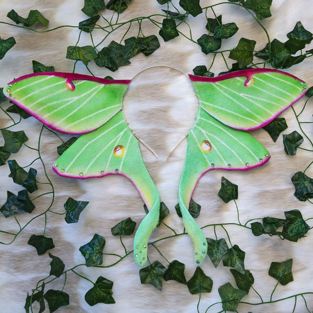 Made to Order Luna Moth Wing Headpiece Etsy