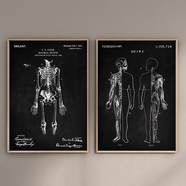 Anatomical Patent Prints, Set of 2, Skeleton Print, Gross Anatomy Wall Art, Muscular System Print, Digital Download