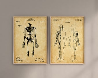 Anatomical Patent Prints: Skeleton & Muscular System Art (Digital Download)