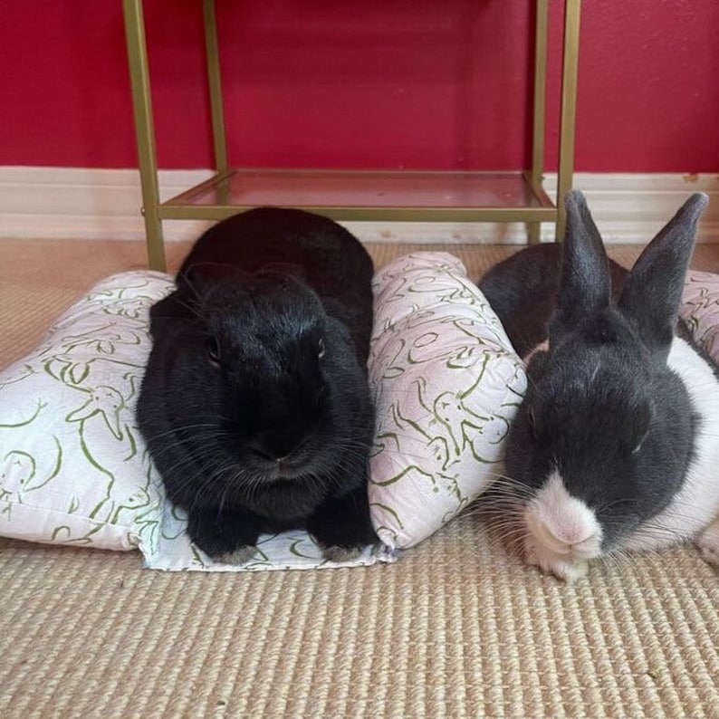 Animal Patterns Snug as A Bug Bunny Bed Rabbit Bed - Etsy