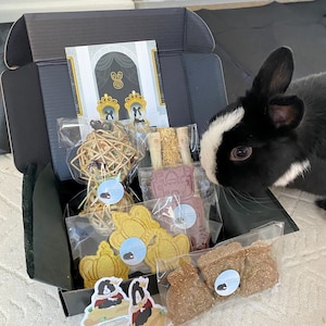 Living Like Royalty Bundle | Bunny, Guinea Pig, and Other Small Pet Treats and Chews | All Organic, Natural, and Healthy