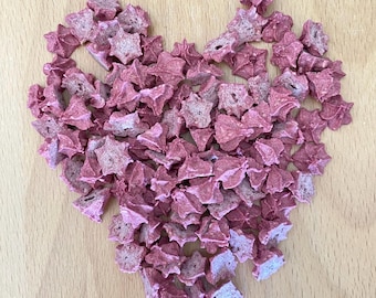 Raspberry Mini Meringues | Oat Based | Bunny, Guinea Pig, and Other Small Pet Treats | All Organic, Natural, and Healthy