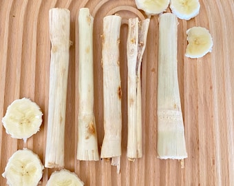 Banana Bambamoo Sticks | Bamboo Chew | Bunny, Guinea Pig, and Other Small Pet Chews | All Organic, Natural, and Healthy