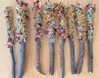 Palitos de forraje de Marti / Palitos masticables de manzana / Masticables para conejos, cobayas y otras mascotas pequeñas / Totalmente orgánicos, naturales y saludables