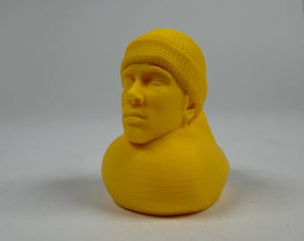 Jeep Ducks - Eminem - Slim Shady