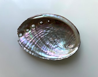 Abalone shell (UK sustainable)| Ceremonial, For Burning Incense or Smudge Sticks, home decor, Colorful Abalone Shell, ritual kit