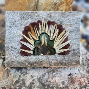 May include: A decorative feather fan in shades of brown, green, and cream, set against a dark maroon background. The feather arrangement is mounted on a weathered, rectangular wooden board, creating a rustic aesthetic.