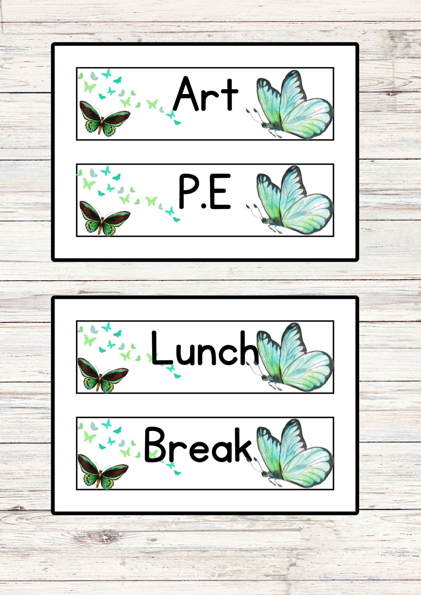 Butterfly Visual Class Schedule, Butterfly Bulletin Board, Visual