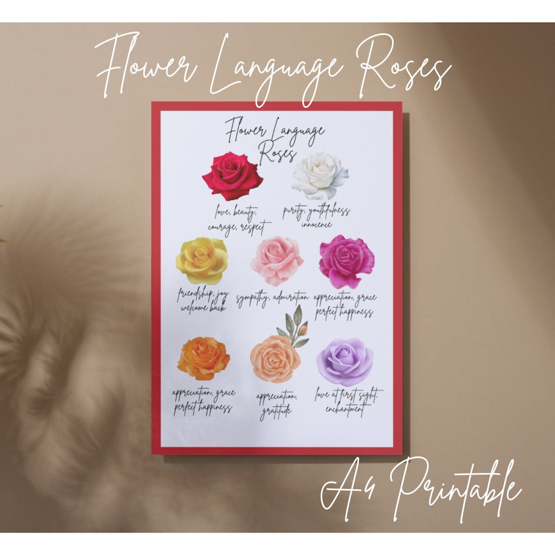 Language of Flowers Printable: Rose Meaning Poster (A4 PDF) - Etsy