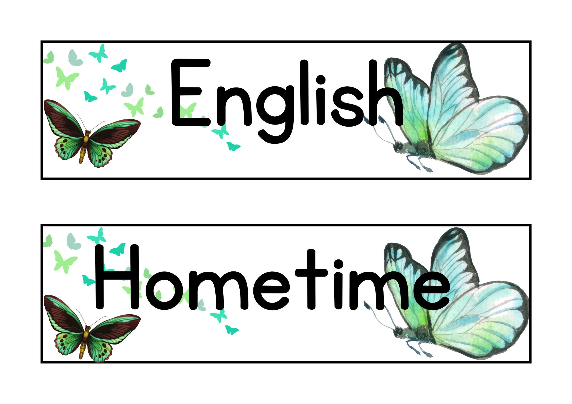 Butterfly Visual Class Schedule, Butterfly Bulletin Board, Visual