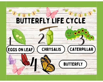 Butterfly Life Cycle Bulletin Board Printable, Butterfly Bulletin Board, Life Cycle Bulletin Board, Metamorphosis Bulletin Board, Life Cycle