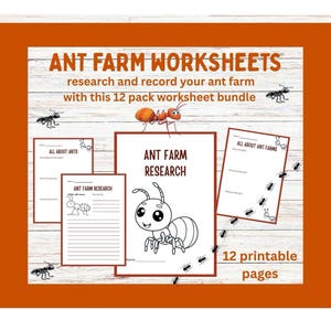 Werkbladen mierenboerderij: afdrukbare onderzoeksbladen formicarium (pdf-download, A4-formaat)