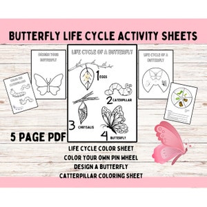 Butterfly Life Cycle Craft Printable: Metamorphosis Coloring Sheets (A4 PDF)