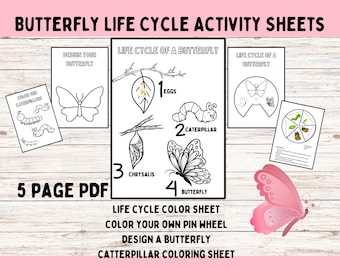 Butterfly Life Cycle Craft Printable: Metamorphosis Coloring Sheets (A4 PDF)