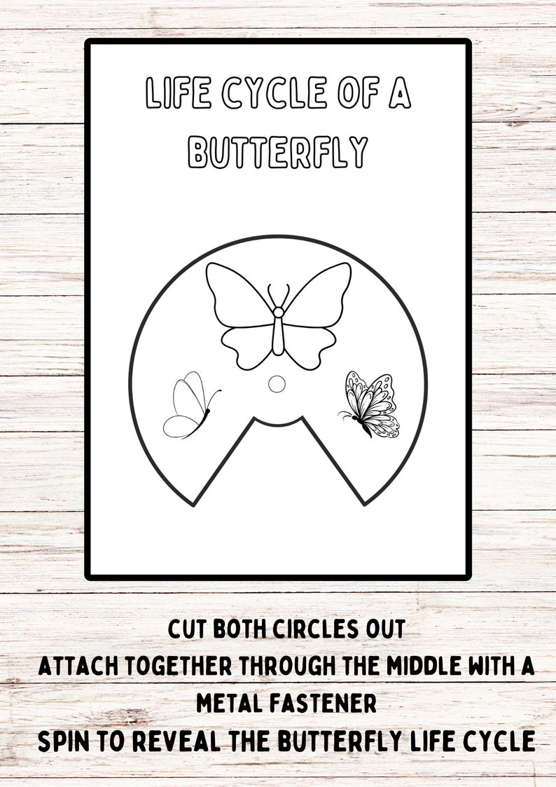 Butterfly Life Cycle Craft Printable, Butterfly Life Cycle Printable, Metamorphosis, Life Cycle ...