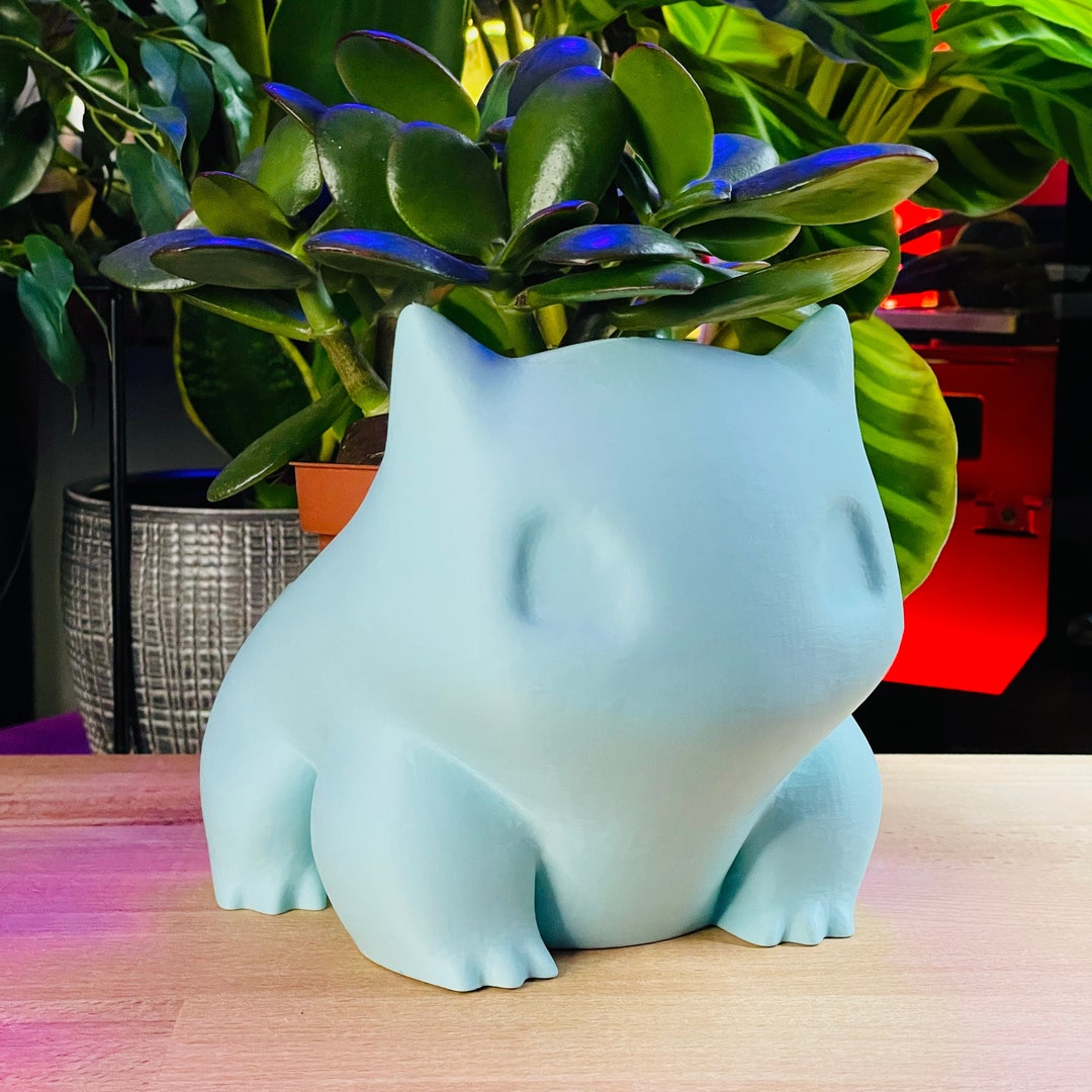 Pot de fleurs Pokémon Pot de plantes Bulbasaur Cadeau de Etsy France