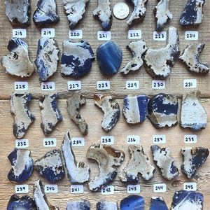 May include: A collection of 28 blue and white ceramic tiles with irregular shapes and edges. The tiles are arranged in four rows of seven tiles each. The tiles are numbered 211 through 245.