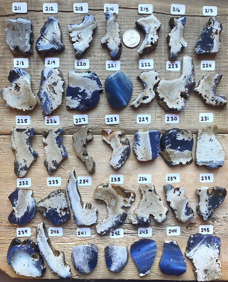 May include: A collection of 28 blue and white ceramic tiles with irregular shapes and edges. The tiles are arranged in four rows of seven tiles each. The tiles are numbered 211 through 245.