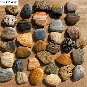 May include: A collection of 30 colorful, striped, and patterned agate stones. The stones are various shapes and sizes and have a natural, polished finish. Knobs 211-280.