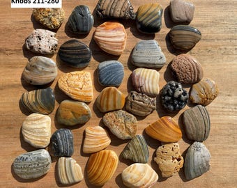 Unique Kitchen knobs Cabinet knobs Drawer pulls Sea Shell handles Drawer handles Bathroom handles Natures knobs Kitchen cabinet Shells