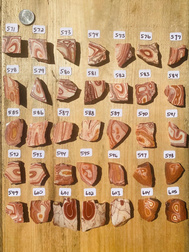 K&ouml;nnte beinhalten: Eine Sammlung von 40 einzigartigen, bunten und gemusterten Achat-Steinen, nummeriert von 571 bis 605. Die Steine sind in Reihen auf einer Holzoberfl&auml;che angeordnet.