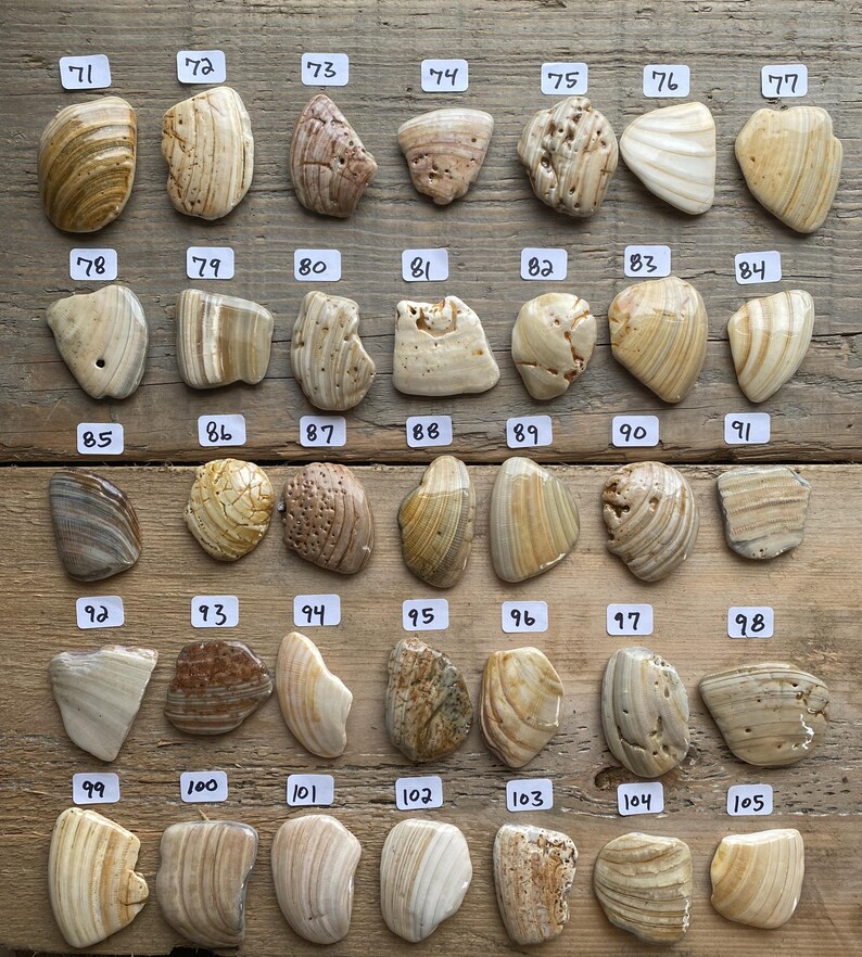 K&ouml;nnte beinhalten: Eine Sammlung von polierten Steinen in verschiedenen Formen und Gr&ouml;&szlig;en, nummeriert von 71-105, auf einer Holzoberfl&auml;che angeordnet. Die Steine zeigen eine Reihe von Farben, darunter Beige, Braun und Creme, mit einzigartigen Mustern und Texturen. Ideal zum Basteln oder Sammeln.