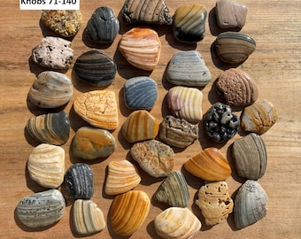 Unique Kitchen knobs Cabinet knobs Drawer pulls Sea Shell handles Drawer handles Bathroom handles Natures knobs Kitchen cabinet Shells