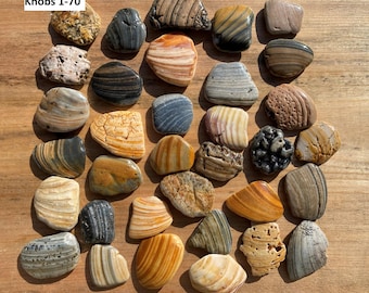 Unique Kitchen knobs Cabinet knobs Drawer pulls Sea Shell handles Drawer handles Bathroom handles Natures knobs Kitchen cabinet Shells