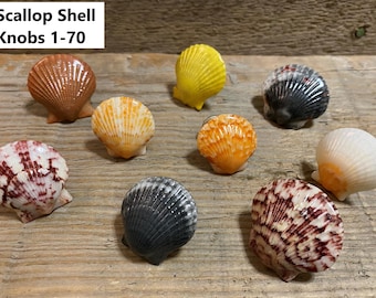 Unique Kitchen knobs Cabinet knobs Drawer pulls Sea Shell handles Drawer handles Bathroom handles Natures knobs Beach Home decor