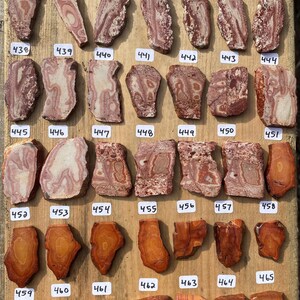 K&ouml;nnte beinhalten: Eine Sammlung von 24 polierten Achat-Steinen, jeder mit einzigartigen Mustern und Farben. Die Steine sind in Reihen auf einer Holzoberfl&auml;che angeordnet, mit Nummern auf kleinen wei&szlig;en Etiketten neben jedem Stein. Die Steine reichen in der Farbe von Rot und Wei&szlig; bis Orange und Braun.