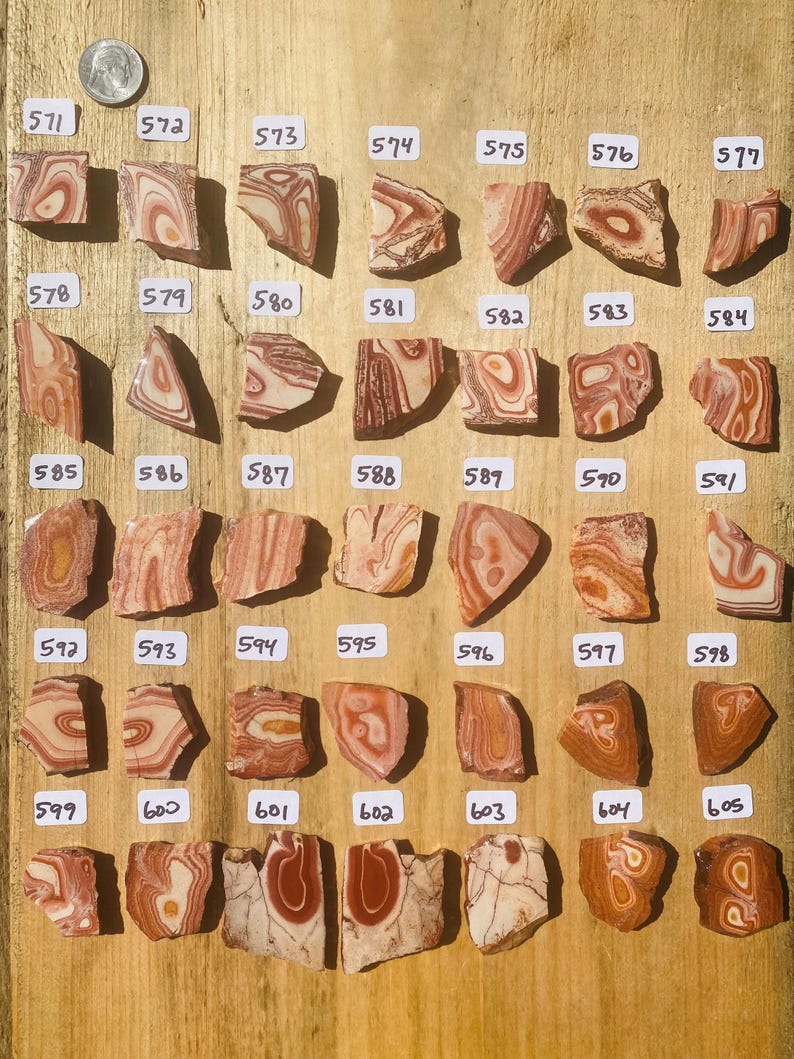 K&ouml;nnte beinhalten: Eine Sammlung von 40 einzigartigen, bunten und gemusterten Achat-Steinen, nummeriert von 571 bis 605. Die Steine sind in Reihen auf einer Holzoberfl&auml;che angeordnet.