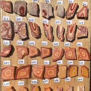 K&ouml;nnte beinhalten: Eine Sammlung von 40 polierten Achat-Steinen mit verschiedenen Mustern und Farben, darunter Rot, Braun, Wei&szlig; und Gelb. Die Steine sind in Reihen auf einer Holzoberfl&auml;che angeordnet, wobei jeder Stein mit einer Nummer gekennzeichnet ist.