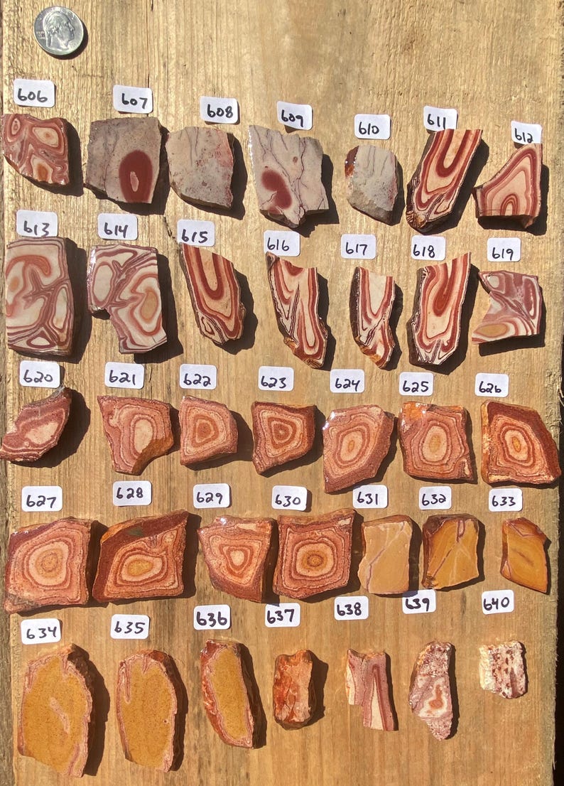 K&ouml;nnte beinhalten: Eine Sammlung von 40 polierten Achat-Steinen mit verschiedenen Mustern und Farben, darunter Rot, Braun, Wei&szlig; und Gelb. Die Steine sind in Reihen auf einer Holzoberfl&auml;che angeordnet, wobei jeder Stein mit einer Nummer gekennzeichnet ist.